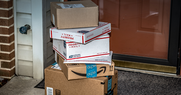 Seaside Package Thieves Get A Horrifying Surprise When They Open Their Stolen Goods